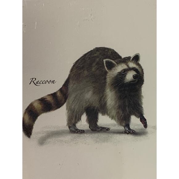 Set of 8 Notecards and Envelopes Small Mammal Assortment New - Picture 3 of 8